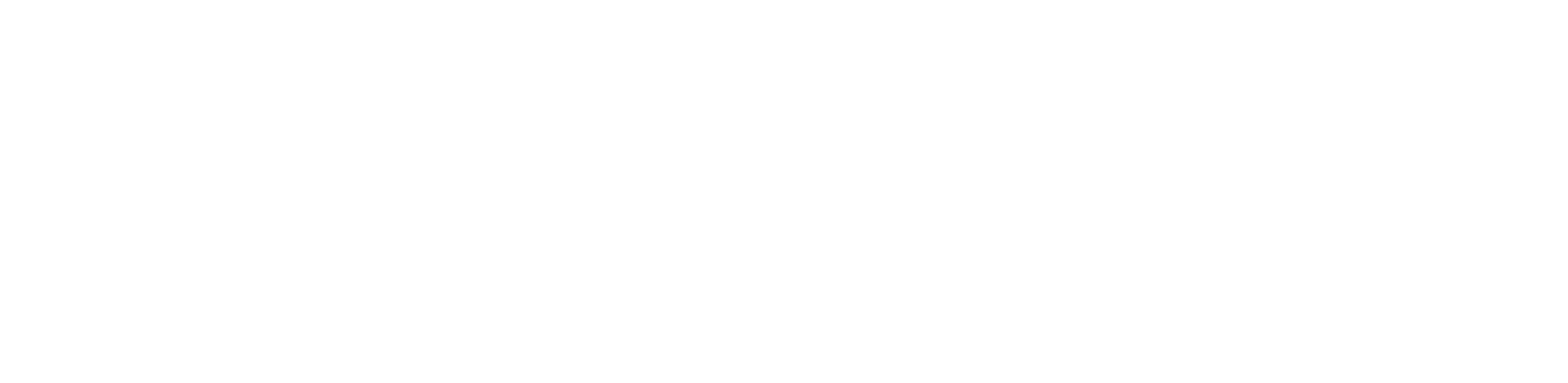 duoton GmbH